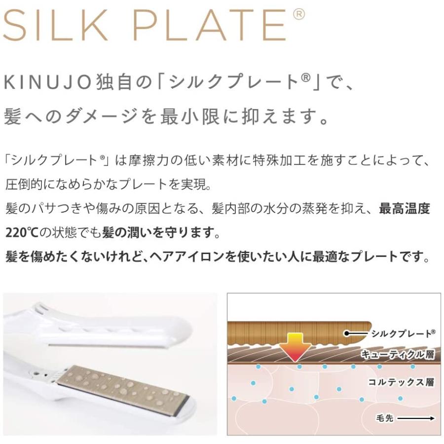 人気ブランド Lip Iron リップアイロン コードレスストレートアイロン 海外兼用ヘアアイロン Lipiron ストレートアイロンランキ 全品送料無料 Www Tiebreak Fr
