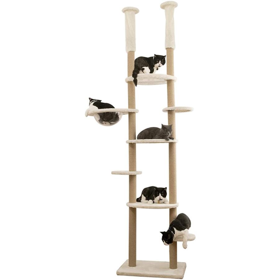 Mwpo 透明宇宙船 窓付きの透明ステップ 突っ張りタイプキャットタワー 透明ボール 透明ハンモック おうちで木登りタワー 多頭飼い 天然サ Mwpo 透明宇宙船 窓付きの透明ステップ 突っ張りタイプキャットタワー 透明ボール 透明ハンモック おうちで木登りタワー 多頭飼い 天然サ