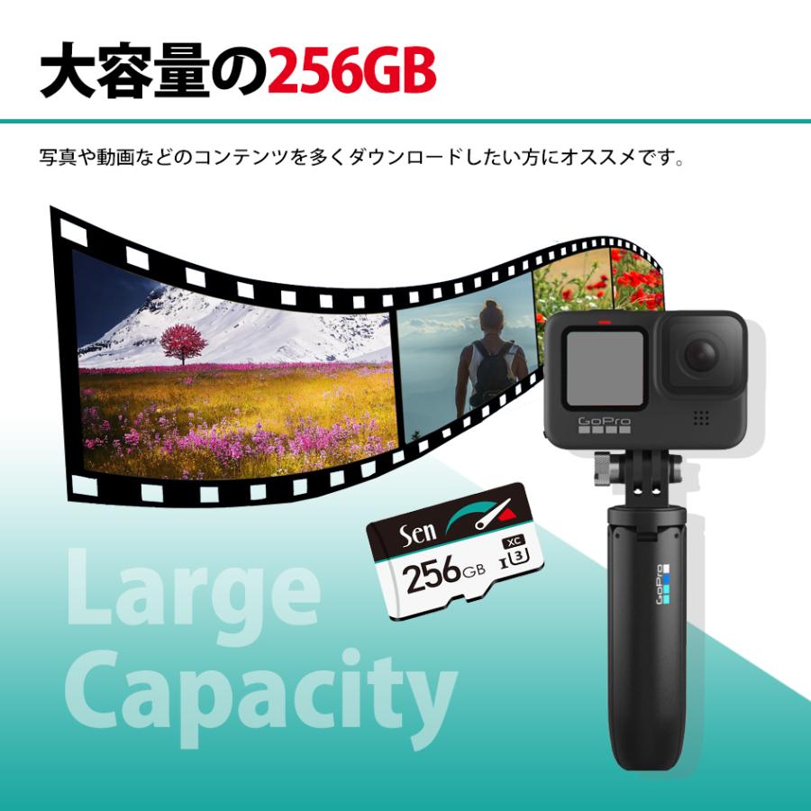マイクロSDカード スイッチ 動作確認済 microSD 256GB Nintendo マイクロSDカード スイッチ 動作確認済 microSD 256GB Nintendo