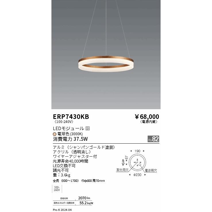 遠藤照明 LEDペンダントライト ERP7430KB 工事必要 : ライトプロ