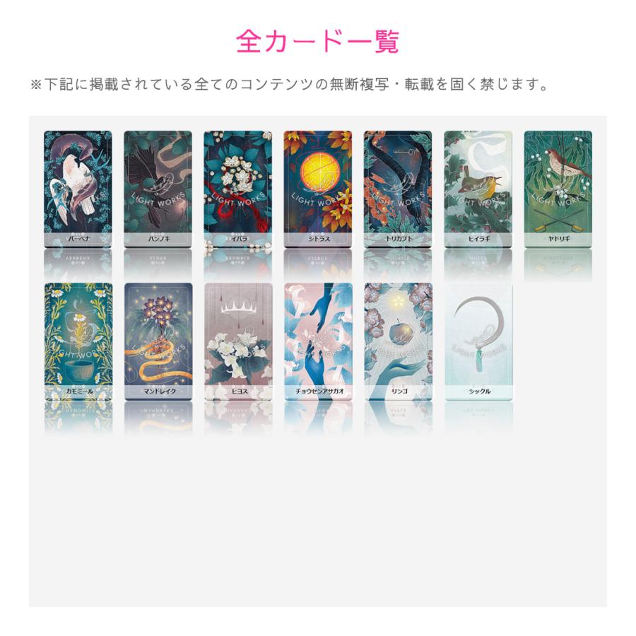 シード＆シックルオラクル （ 日本語解説書付き オラクルカード