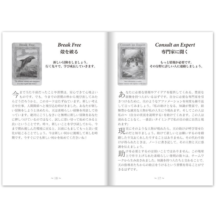 マーメイド ドルフィンオラクルカード Dre503 ライトワークスyahooストア 通販 Yahoo ショッピング