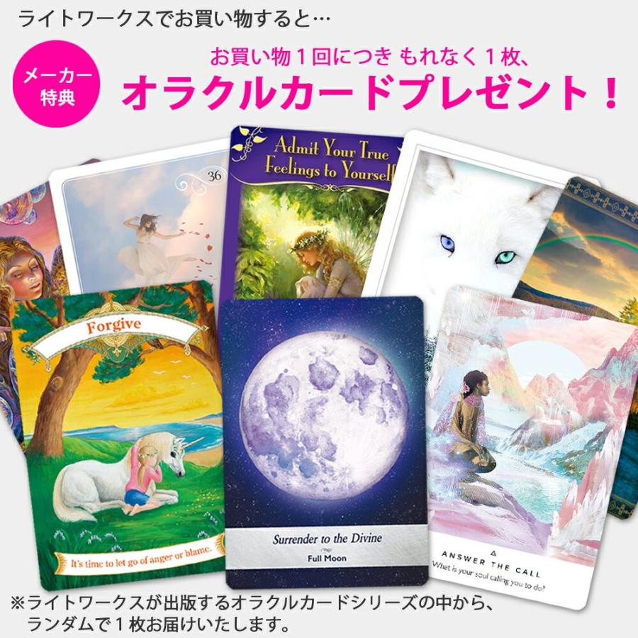 セイクレッドデスティニーオラクル ( 日本語解説書付き デニス セイクレッドデスティニーオラクル ( 日本語解説書付き デニス