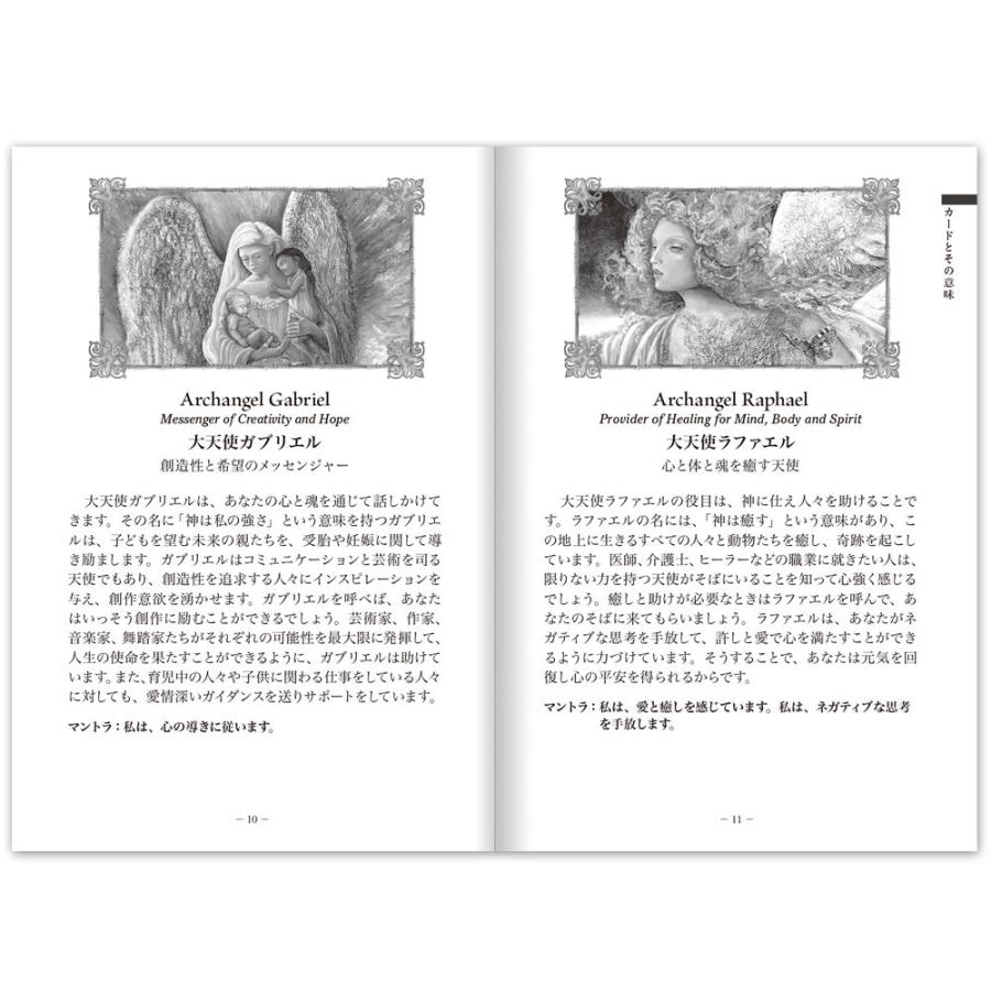 ミスティカルウィズダムカード （ 日本語解説書付き ゲイ・ガスリー