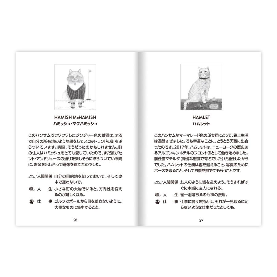 ２冊 トレードへの取り組み方 キャットルズ Amazon.co.jp: 黒猫アイランド トレードへの取り組み方 キャット