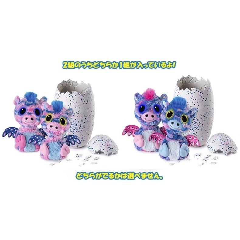 国内正規品　西友限定 【新品】うまれて！ウーモ ワォ　【ローズ&ブルー】　(HATCHIMALS) | タカラトミー | 01