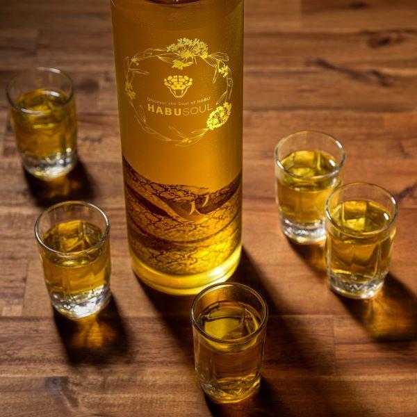 龍泉酒造ハブ酒リキュール750ml ハブ入り 龍泉酒造 / ハブ入りハブ酒【40度】750ml