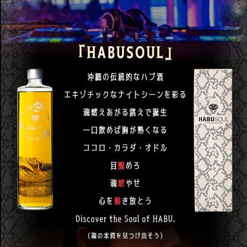 ハブリキュール HABUSOUL ハブソウル 40度 720ml 沖縄県 龍泉酒造 ハブ