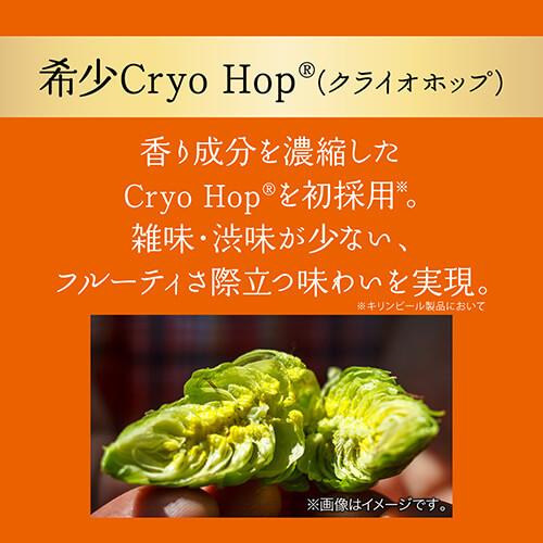キリン（KIRIN） グッドエール ビール GOOD ALE 350ml×48本 (24本×2