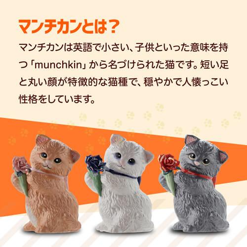 送料無料 正規品 梅酒 箱付き マンチカン ウィズブーケ ブラック