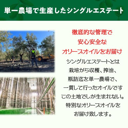 スペイン産 オリーブオイル エキストラバージン 500ml×6本 EX EXVオリーブオイル ガラス瓶 バジェッホ 長S_4