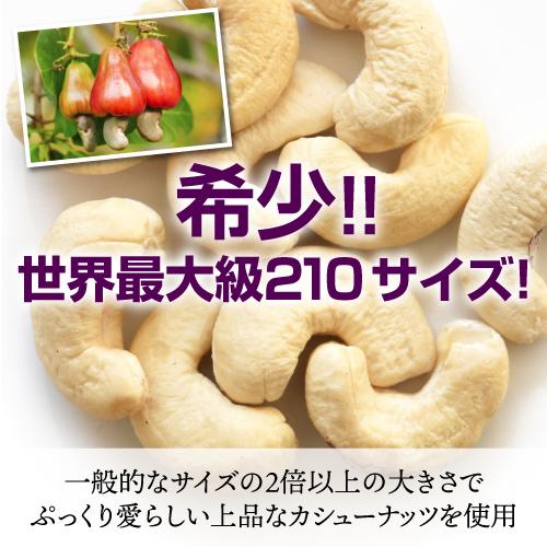 Dari K ダリケー カシューナッツ＆生チョコ6粒セット チョコレート 送料無料 クール代込 冷蔵 京都 スイーツ お取り寄せ 産直 DK｜likaman2｜05