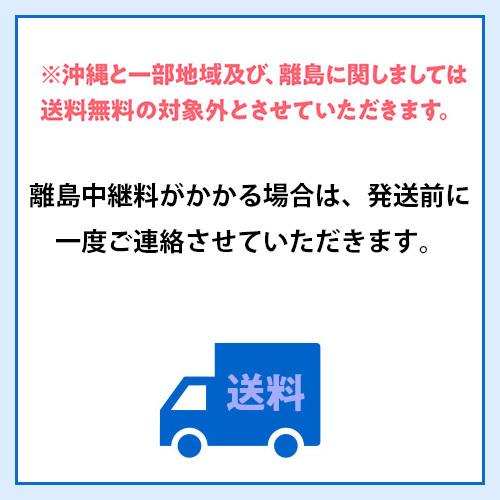 御中元 ギフト アサヒ スーパードライ ジャパンスペシャル 夏限定ダブルセット JLW-5 (350ml×20本入) ビールギフト 夏贈｜likaman2｜04