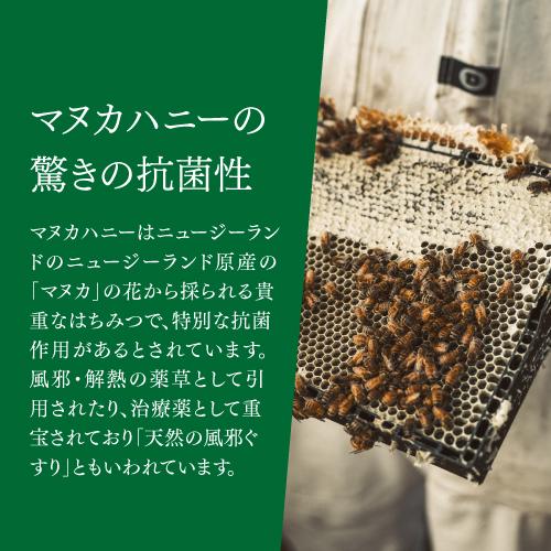 マヌカハニー UMF20＋ MGO826＋ 250g×6個 生マヌカ プレミアムハニー はちみつ 蜂蜜 ハチミツ 非加熱 無農薬 虎Sの画像