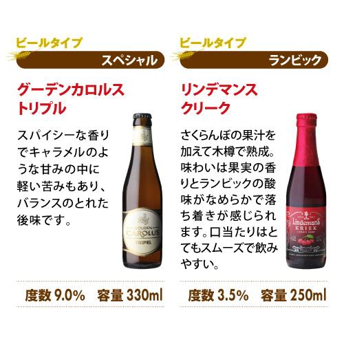 ベルギービール24種24本セット 送料無料 ビールセット ギフト 飲み比べ