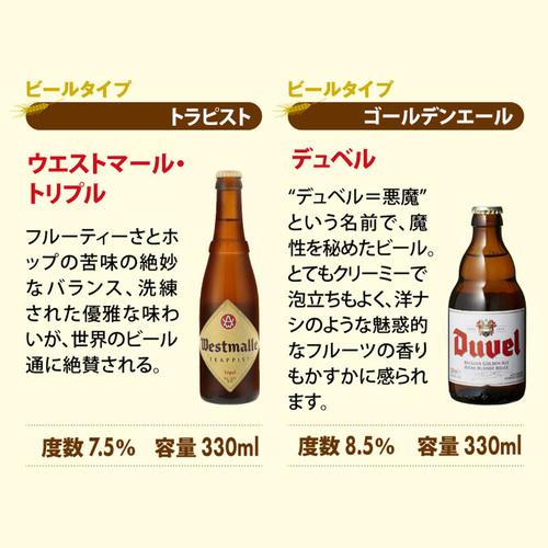 ベルギービール(オルヴァル)24本セット ケース販売 オルヴァル 330ml 瓶（1ケース/24本） 海外ビール 輸入