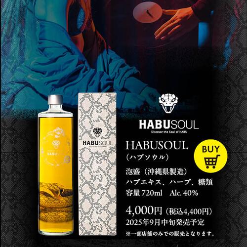 ハブリキュール HABUSOUL ハブソウル 40度 720ml 沖縄県 龍泉酒造 ハブ