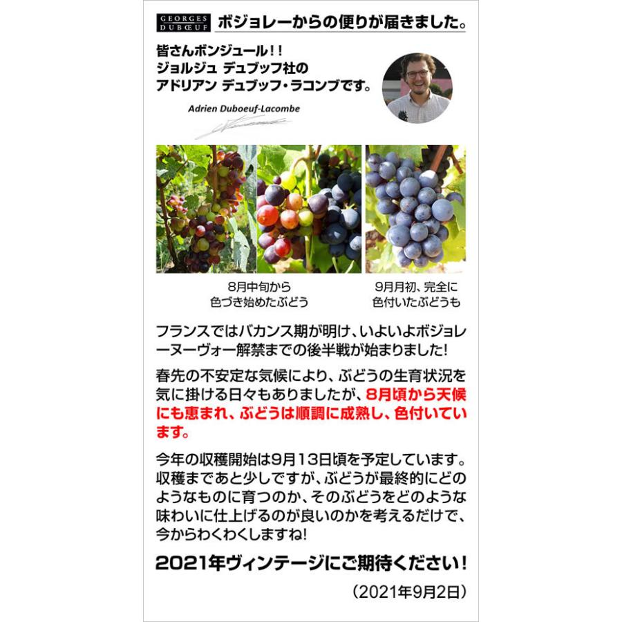 予約ワイン 15 ジョルジュ デュブッフ ハーフ 375ml ボジョレー ヌーボー ボジョレーヌーボー ボージョレ新 リカマンpaypayモール店 通販 Paypayモール