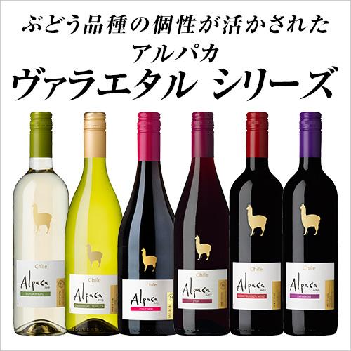 アルパカ 白 ワイン サンタ ヘレナ アルパカ シャルドネ セミヨン 750ml 12本 YF  クール便不可｜likaman｜02