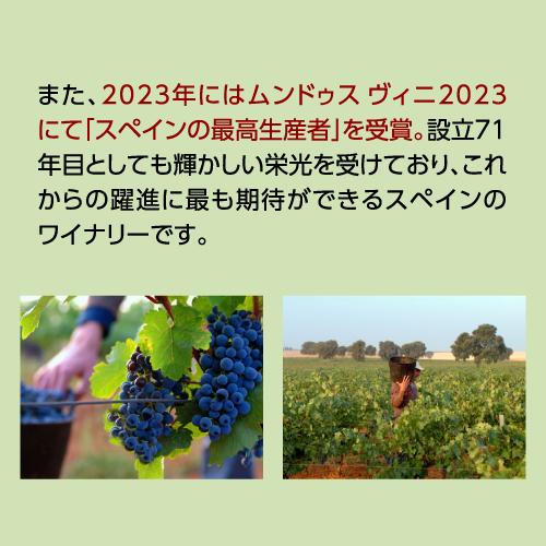 スパークリングワイン 泡 750ml 12本 スペイン産 ワイン プロヴェット ブリュット  KOB |  | 06