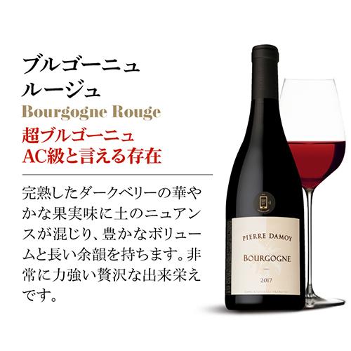 ピエール・ダモワブルゴーニュ赤ワイン