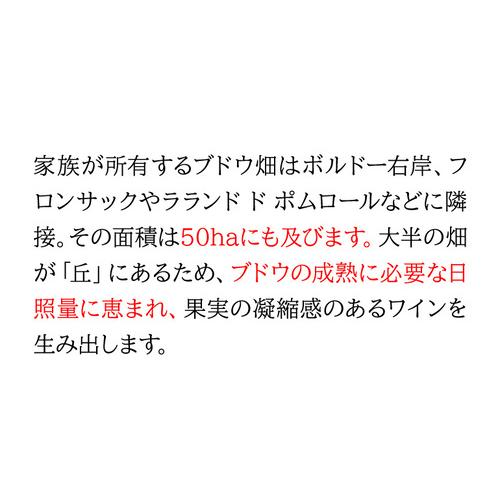 白泡 グラン ベロ クレマン ド ボルドー ブリュット 750ml フランス ボルドー メルロー カベルネフラン セミヨン　スパークリングワイン 浜運｜likaman｜06