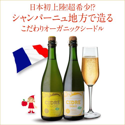 (クール便推奨) 辛口 シードル ブッシェ ビオ ラ フェルム ドット 750ml フランス シャンパーニュ地方産 リンゴ オーガニック アルコール 5% 長S｜likaman｜02