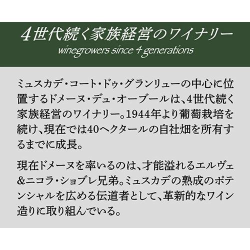 ロゼワイン メルロー ロゼ ヴァル ド ロワール 2020 ドメーヌ デュ オー ブール 750ml フランス 辛口 浜運｜likaman｜04