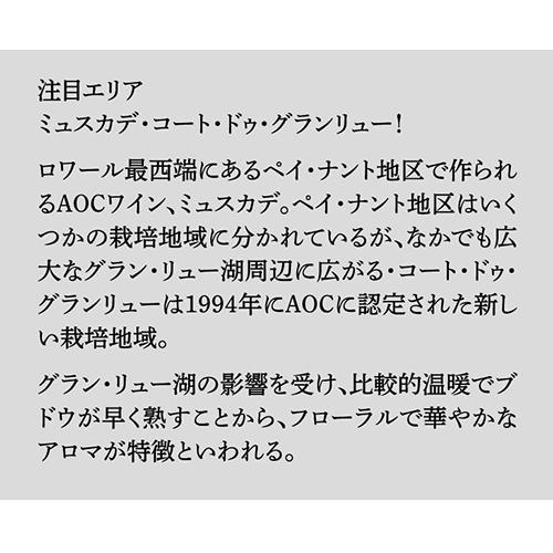 ロゼワイン メルロー ロゼ ヴァル ド ロワール 2020 ドメーヌ デュ オー ブール 750ml フランス 辛口 浜運｜likaman｜06