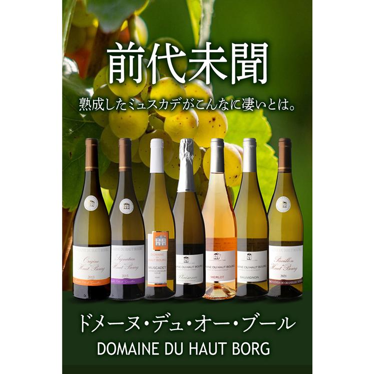 白ワイン ソーヴィニヨン ヴァル ド ロワール(2023) ドメーヌ デュ