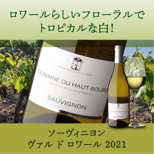 白ワイン ソーヴィニヨン ヴァル ド ロワール(2023) ドメーヌ デュ