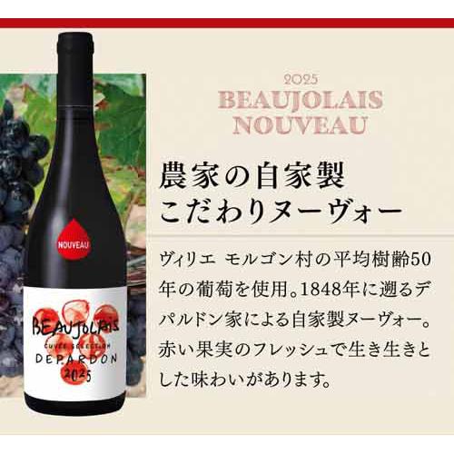 16 赤ワイン オリヴィエ デパルドン ボージョレ ヌーヴォー キュヴェ