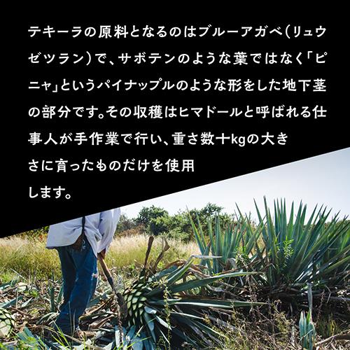 正規品 ティエラ イ ポデール アネホ 750ml 40度 プレミアム テキーラ