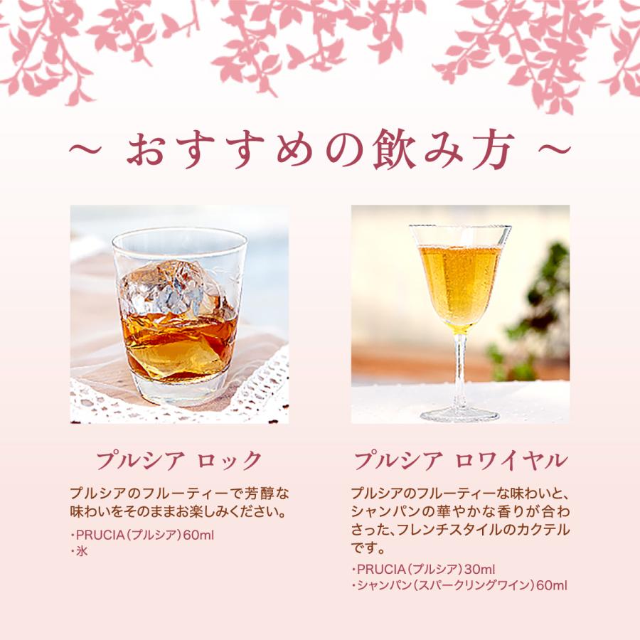 プルシア プラムリキュール 15度 700ml プラム リキュール ド フランス