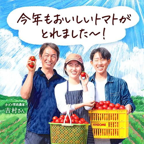 KAGOME（カゴメ） トマトジュースプレミアム 食塩無添加 2026年 新物