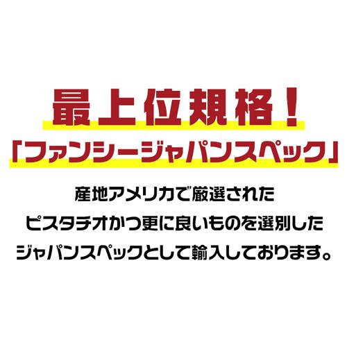 有塩ピスタチオ 420g×10袋 1個当たり 1,198円 食塩有 ピスタチオ ナッツ 有塩 ロースト 健康 美容 おつまみ 殻付き 家飲み アメリカ産 虎姫｜likaman｜05