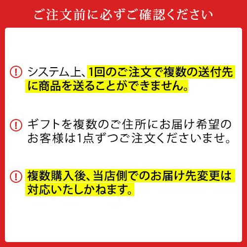 送料無料 サントリー BPBSEN プレミアムモルツ 6種10本セット ビール ギフト RSL｜likaman｜13