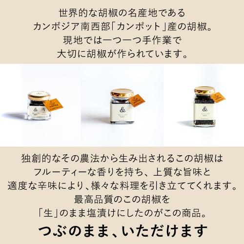 送料無料 生胡椒 塩漬け 60g&times;2個 120g 純胡椒 カンボジア産 CAMBODIA 粒のまま 塩 胡椒 こしょう ペッパー 新感覚 調味料 虎姫