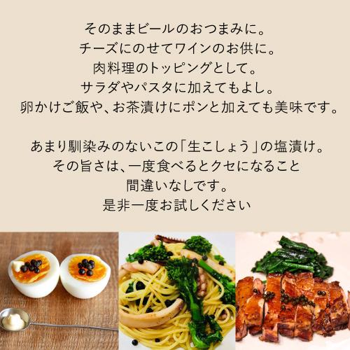 540円 セール 塩漬け 生胡椒 60g カンボジア産 Cambodia 粒のまま 塩 胡椒 こしょう ペッパー 新感覚 調味料 虎姫