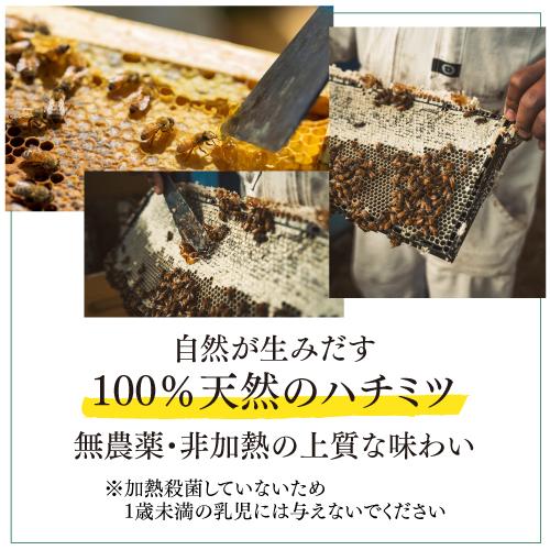 マヌカハニー UMF15＋ MGO512＋ 250g×6個 生マヌカ プレミアムハニー はちみつ 蜂蜜 ハチミツ 非加熱 無農薬 虎Sの画像