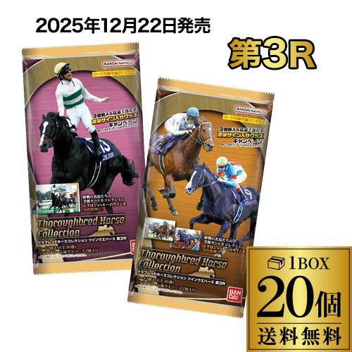 バンダイナムコエンターテインメント (残り在庫わずか) サラブレッド