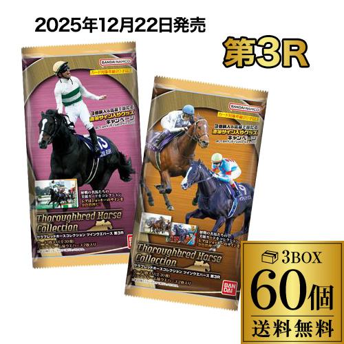 バンダイナムコエンターテインメント (残り在庫わずか) サラブレッド