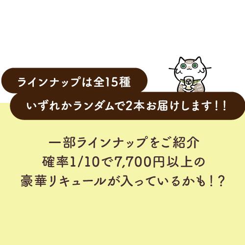 リキュール酒ハント 先着100セット 2万円以上のお酒が入っているかも