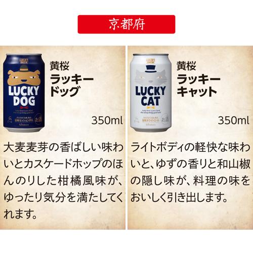 父の日ギフト プレゼント 酒 飲み物 ビール 贈り物 ワンランク上の全国クラフトビール18本セット 350ml缶 18種 送料無料 RSL｜likaman｜15