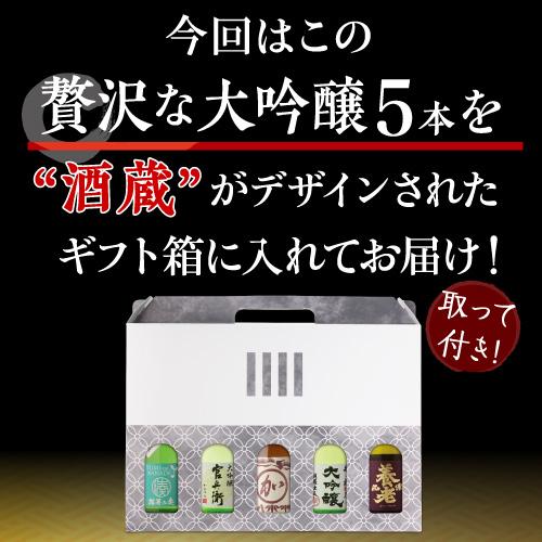 日本酒 飲み比べ ギフト セット 金賞蔵 大吟醸 300ml 5本 送料無料