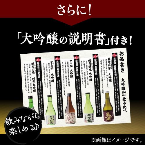 日本酒 飲み比べ ギフト セット 金賞蔵 大吟醸 300ml 5本 送料無料