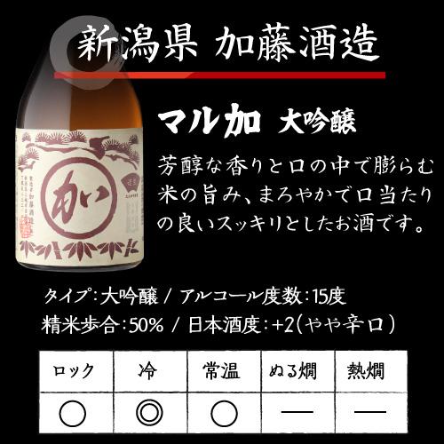 日本酒 飲み比べ ギフト セット 金賞蔵 大吟醸 300ml 5本 送料無料
