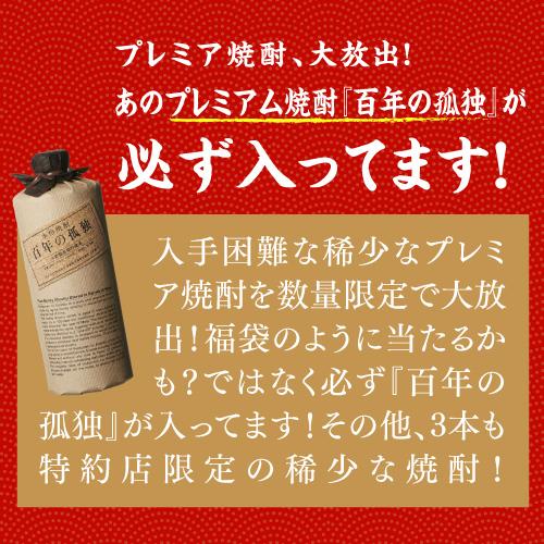 焼酎セット 必ず百年の孤独が入ってます 厳選 希少焼酎 4本 飲み比べ