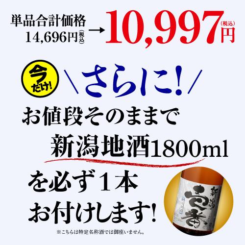 極液 200本 新品 同等品 送料無料 激安 十四代 極上諸白 720ml 2025年製造 - メルカリ