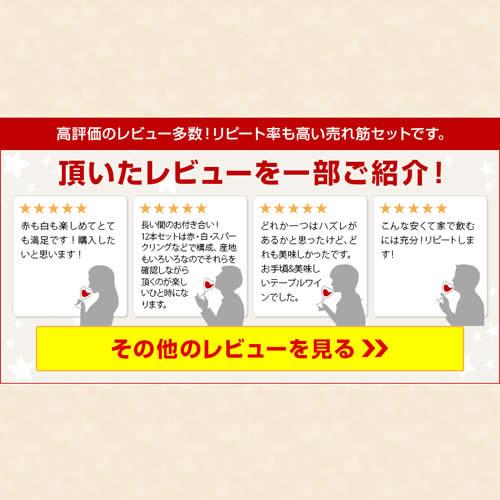 最大1500円OFFクーポン】ワイン ワインセット 赤白 12本セット ＋2本